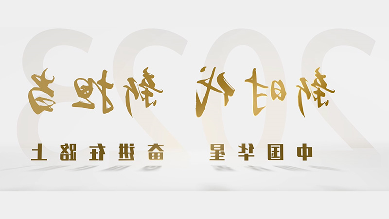 新时代“新”担当 中国华星奋进在路上