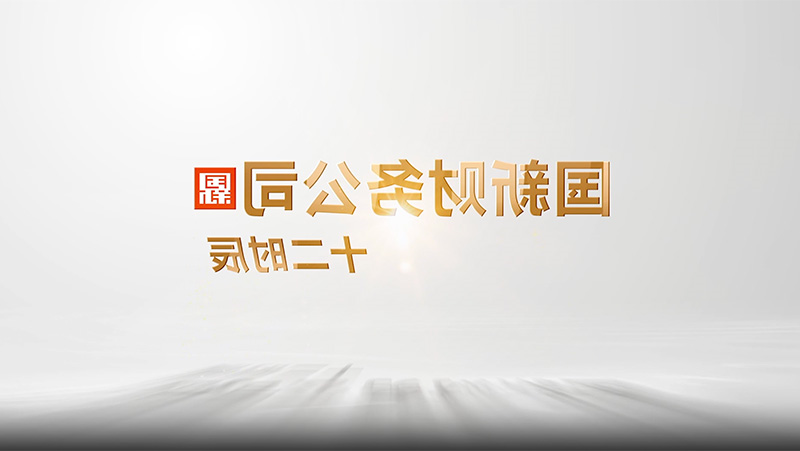 国新财务公司十二时辰