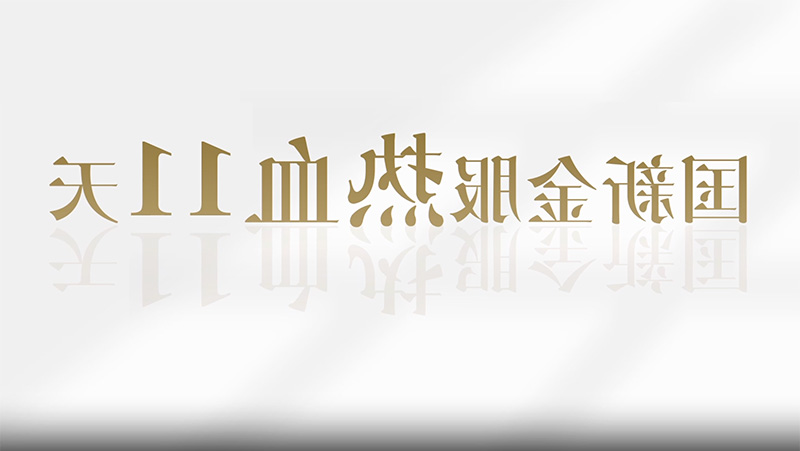 国新金服热血11天