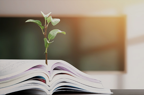 中国文化产业发展集团有限公司